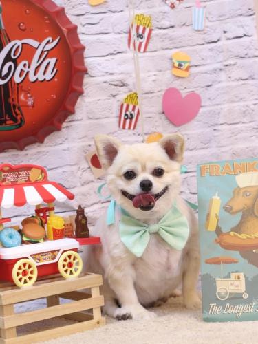 20230926ポロくん